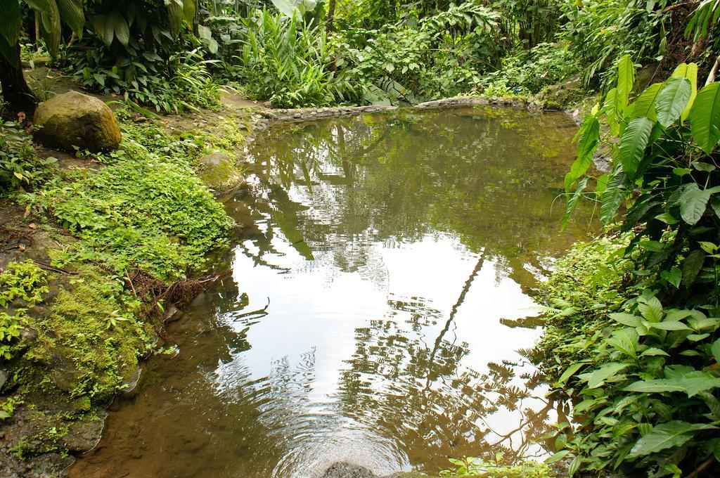 Takalik Maya Lodge El Asintal Kültér fotó