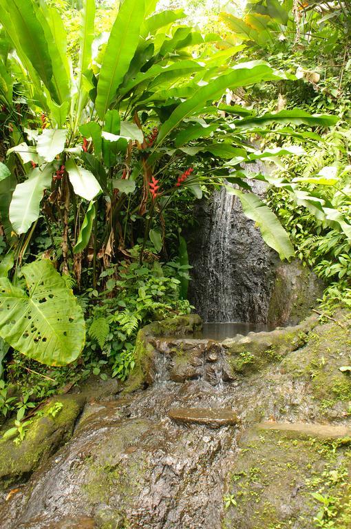 Takalik Maya Lodge El Asintal Kültér fotó