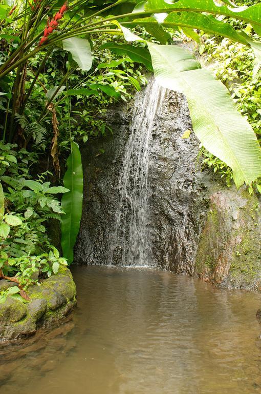 Takalik Maya Lodge El Asintal Kültér fotó