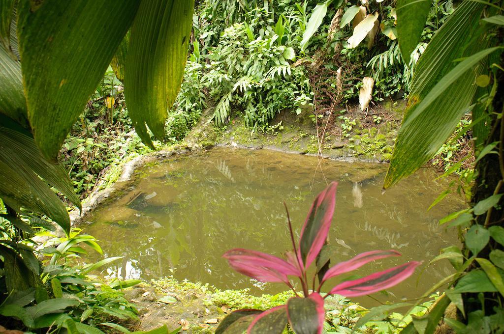 Takalik Maya Lodge El Asintal Kültér fotó