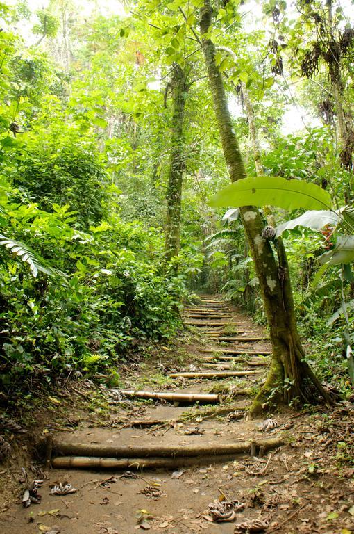 Takalik Maya Lodge El Asintal Kültér fotó