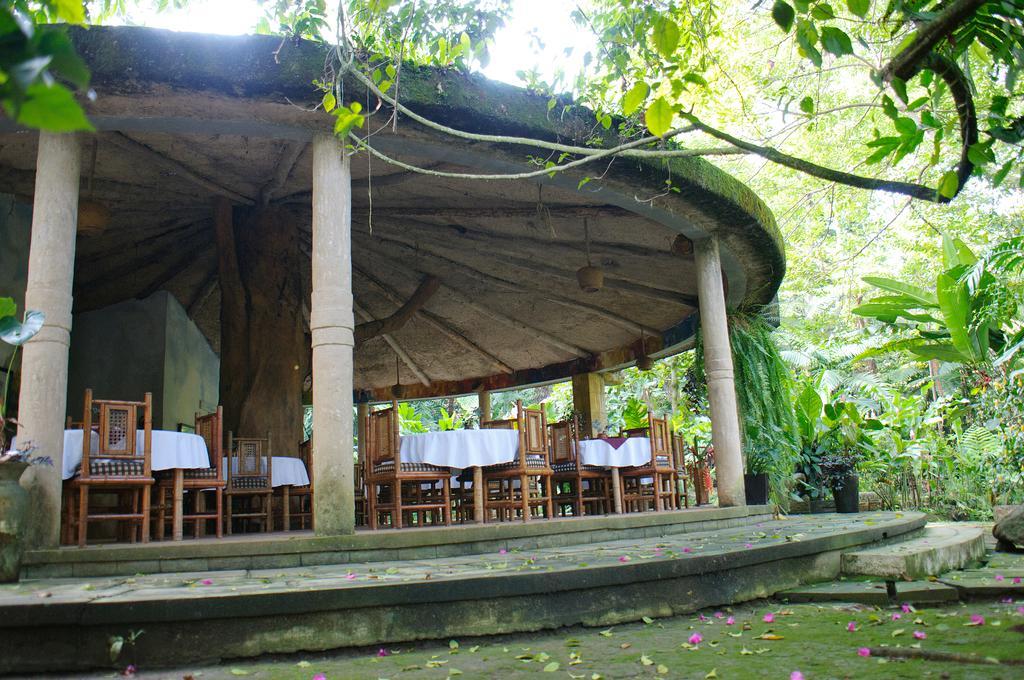 Takalik Maya Lodge El Asintal Kültér fotó